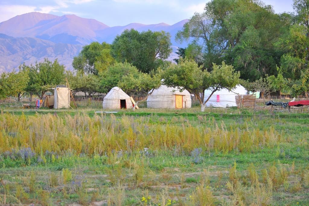 Jurten Camp Almaluu Tong Esterno foto